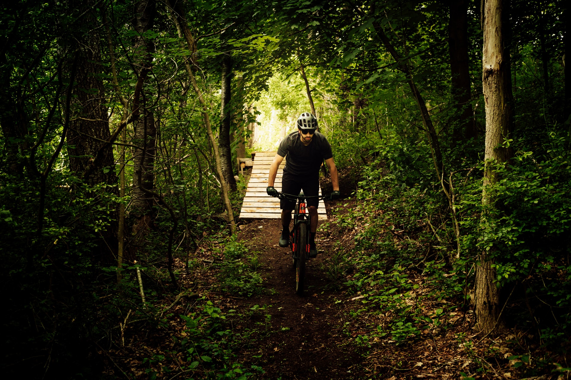 4 Reasons Why You Should Try Out Mountain Biking