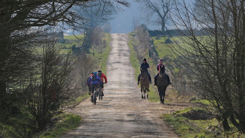 Who Is Faster – a Horse Rider or a Cyclist?