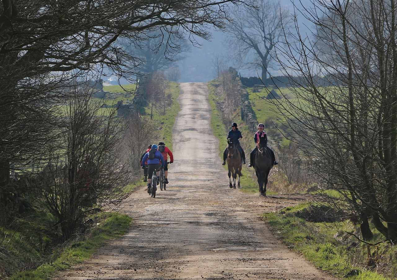 Who Is Faster – a Horse Rider or a Cyclist?